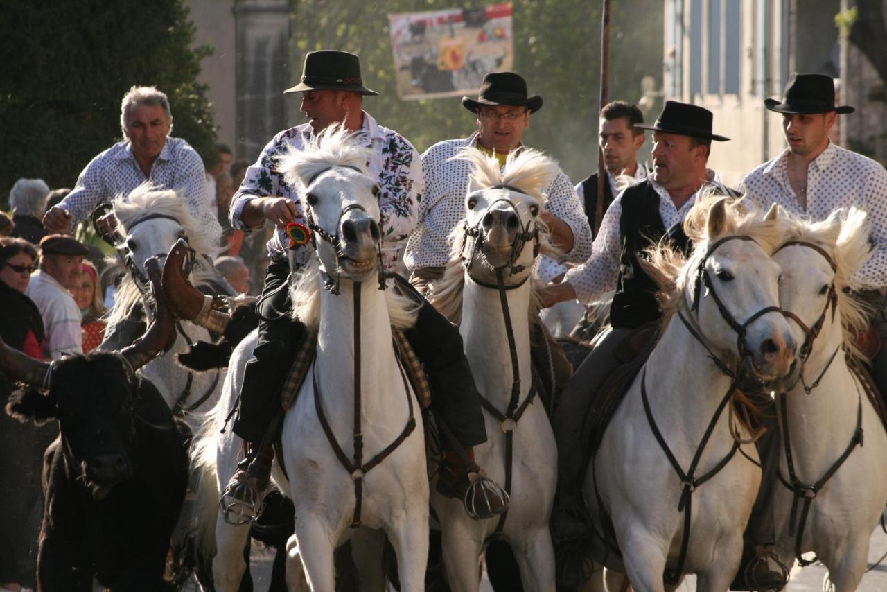 Gite De Vacances En Camargue ☆☆Nn 沃韦尔 外观 照片